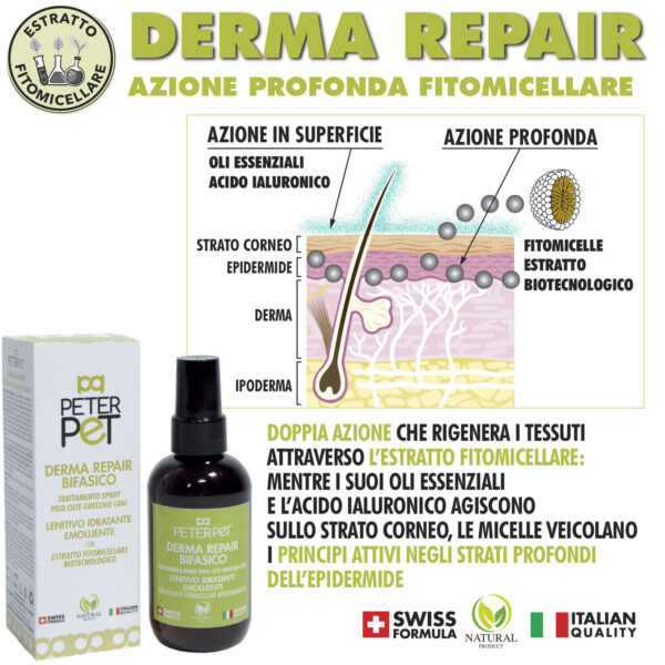 CARD DERMA REPAIR