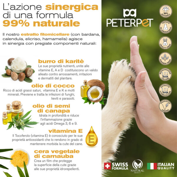 CARD PROTECTIVE BALM