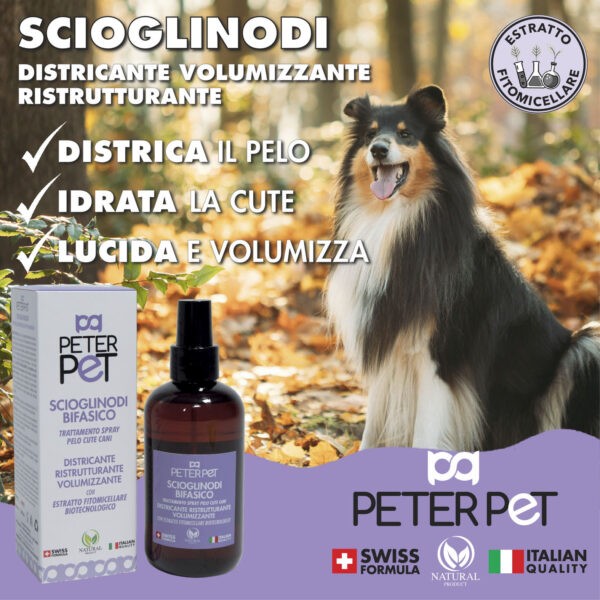 CARD SCIOGLINODI