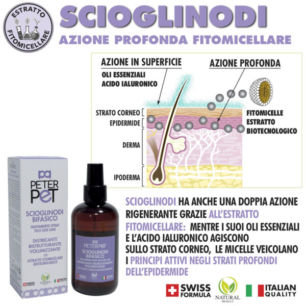 CARD SCIOGLINODI