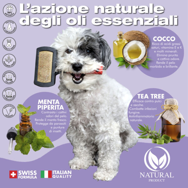 CARD SCIOGLINODI