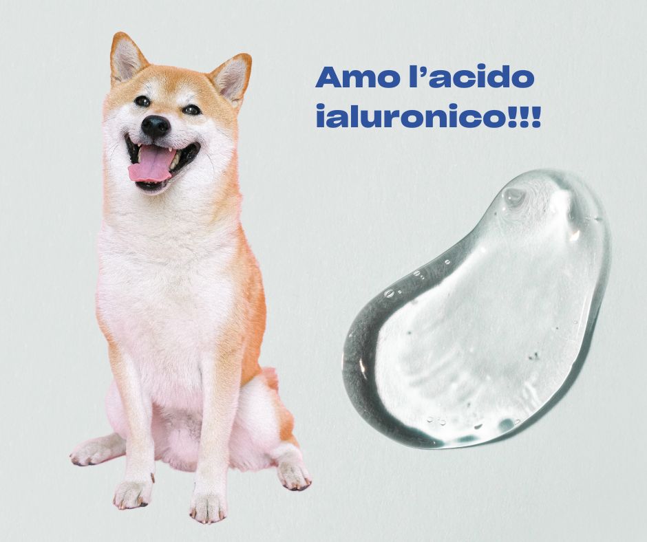 I Vantaggi dell'Acido Ialuronico per la pelle del tuo cane...